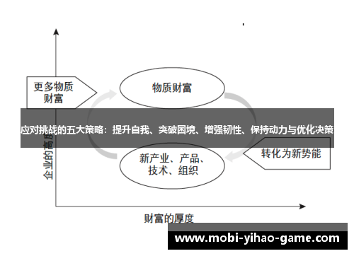 应对挑战的五大策略：提升自我、突破困境、增强韧性、保持动力与优化决策