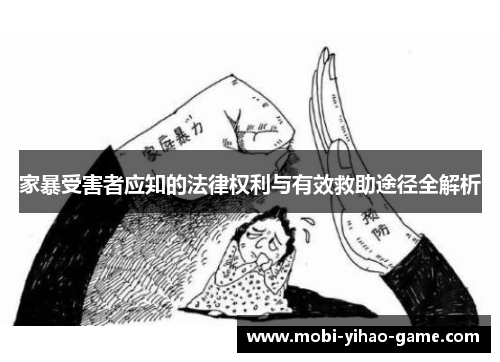 家暴受害者应知的法律权利与有效救助途径全解析