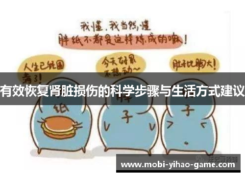 有效恢复肾脏损伤的科学步骤与生活方式建议