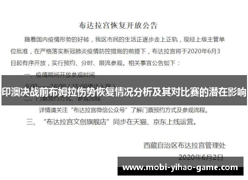 印澳决战前布姆拉伤势恢复情况分析及其对比赛的潜在影响