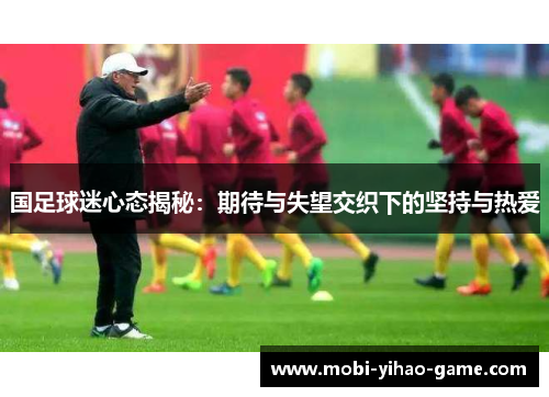 国足球迷心态揭秘：期待与失望交织下的坚持与热爱