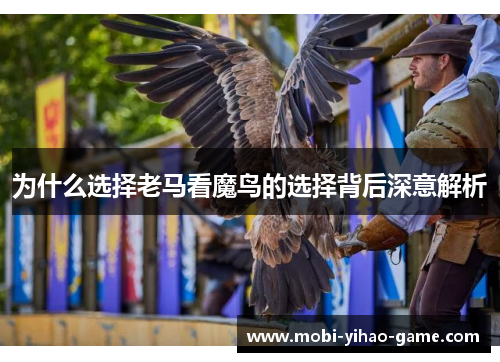 为什么选择老马看魔鸟的选择背后深意解析