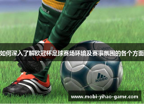 如何深入了解欧冠杯足球赛场环境及赛事氛围的各个方面