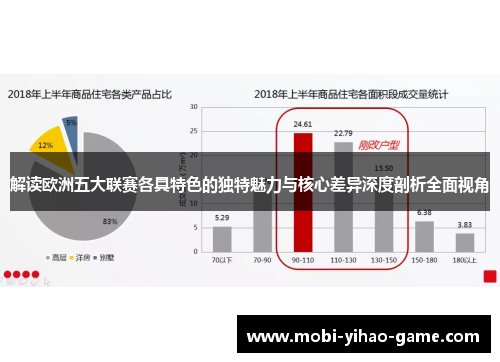 解读欧洲五大联赛各具特色的独特魅力与核心差异深度剖析全面视角 解读欧洲五大联赛各具特色的独特魅力与核心差异深度剖析全面视角